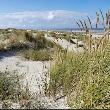 Apartament Seeblick Lachmoewe, Exklusive Lage In Strandnaehe *